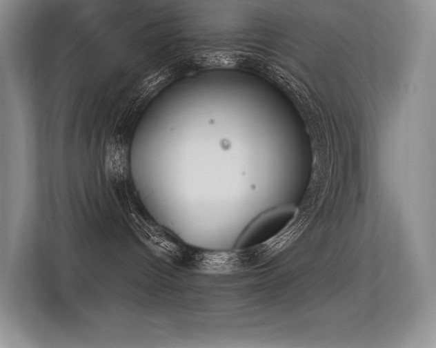 X0000113360096200909151244