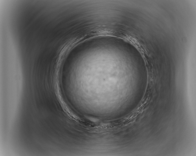 X0000113360097200909151243