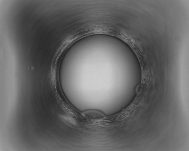 X0000113360098200909151243