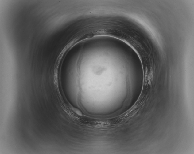 X0000113360099200909151243
