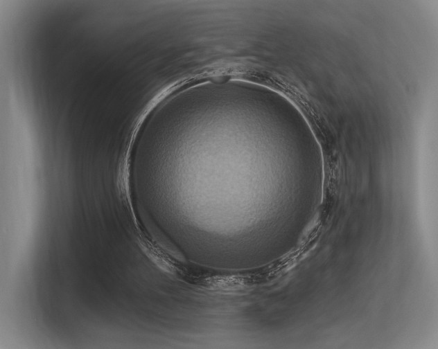 X0000113360100200909151243