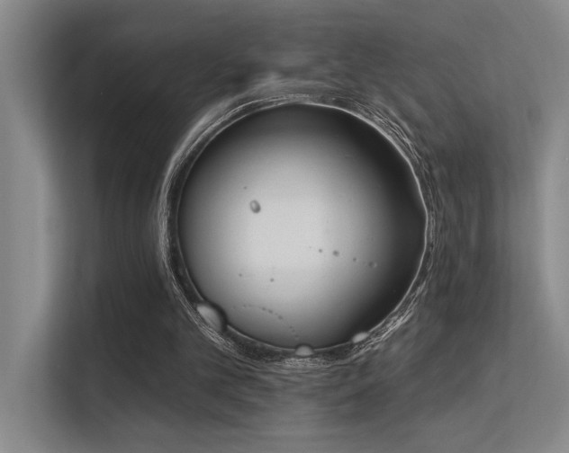 X0000113360101200909151243