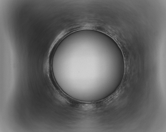 X0000113360102200909151243