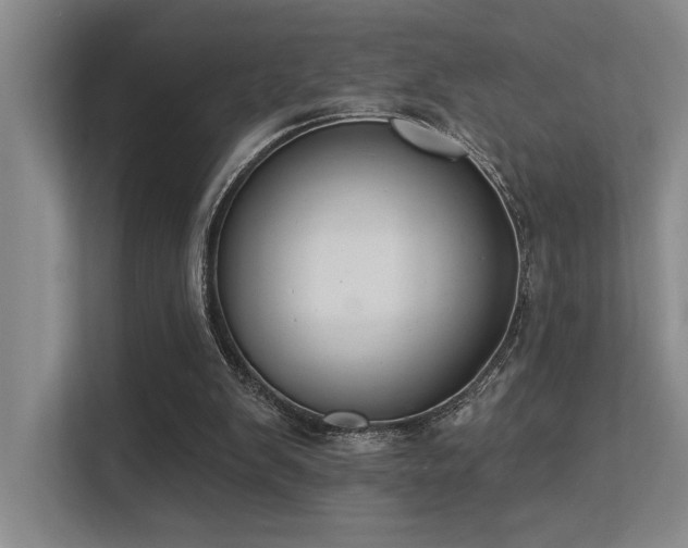 X0000113360103200909151243
