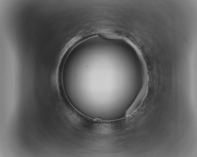 X0000113360104200909151243