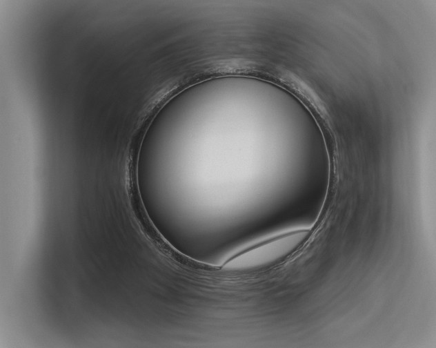 X0000113360105200909151243