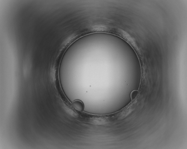 X0000113360106200909151243