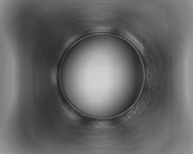 X0000113360107200909151243