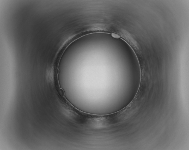 X0000113360108200909151243