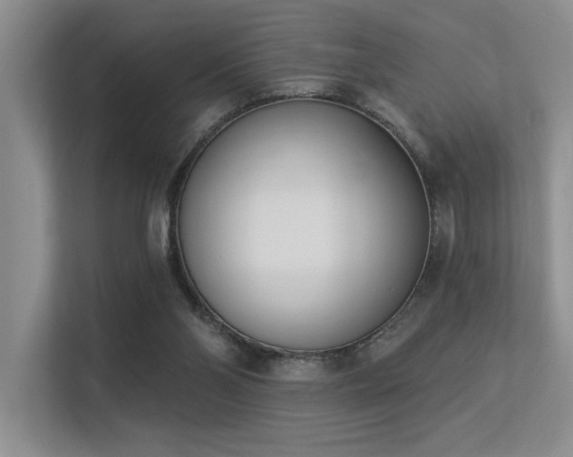 X0000113360110200909151243