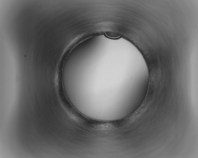 X0000113360112200909151243