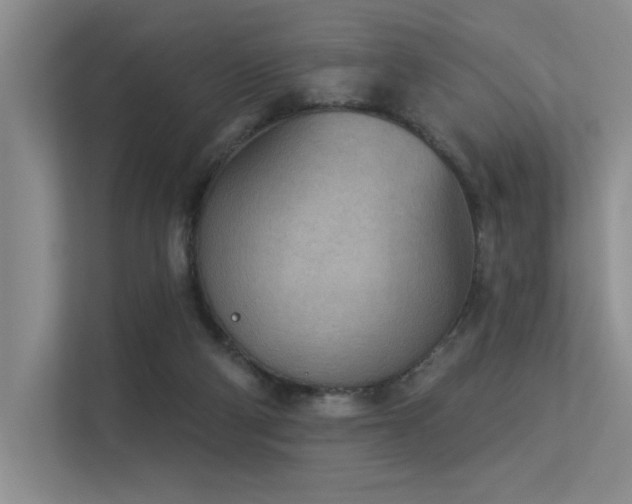 X0000113360114200909151243