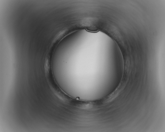 X0000113360116200909151243