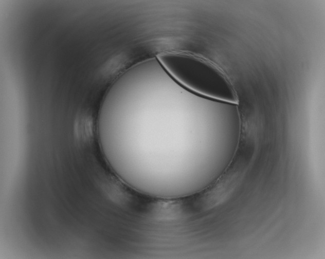 X0000113360117200909151243