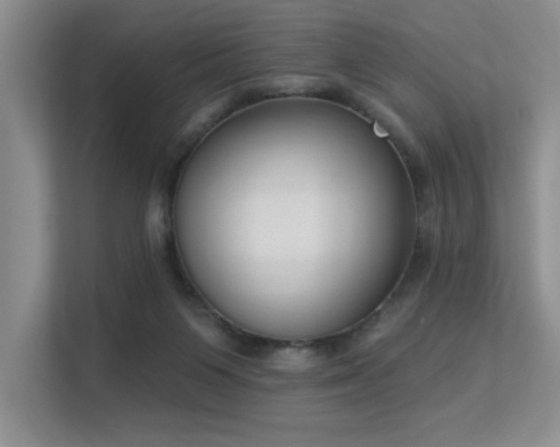 X0000113360119200909151243