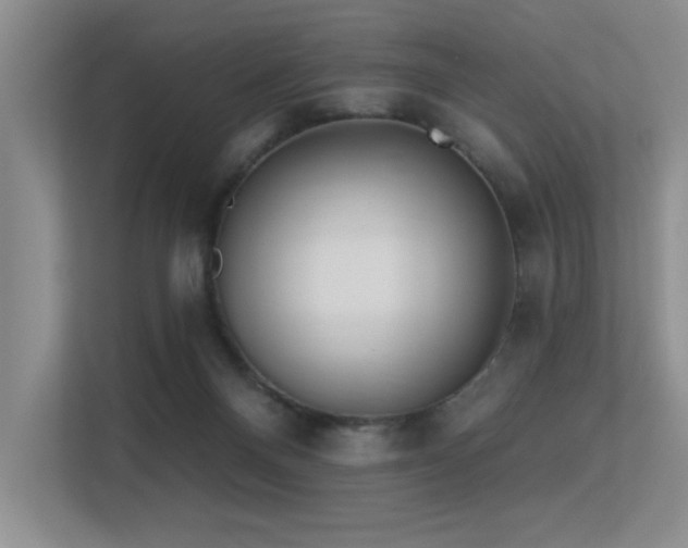 X0000113360120200909151243