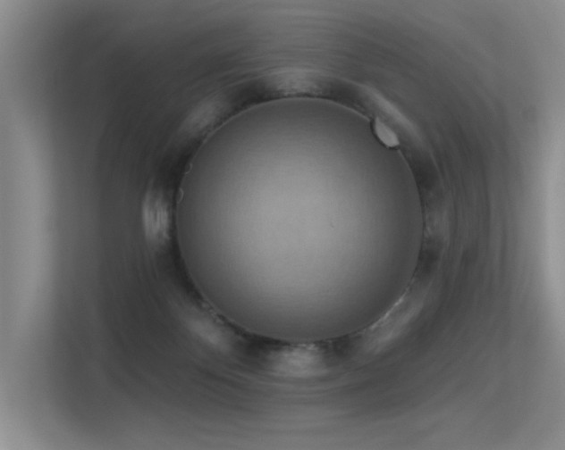 X0000113360124200909151243