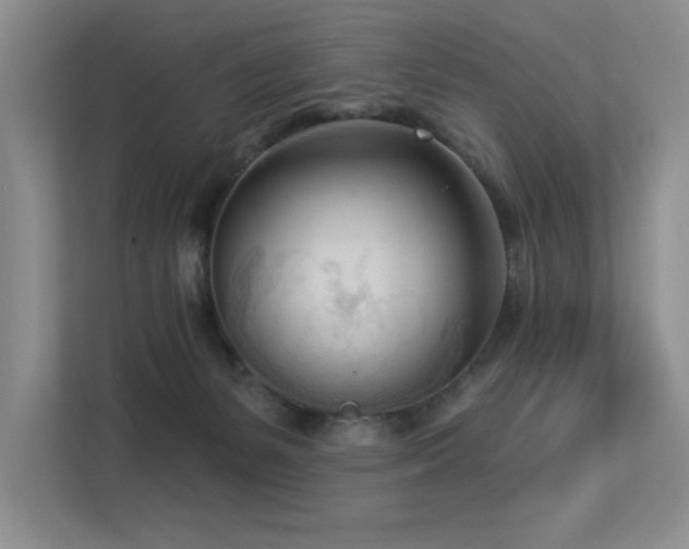X0000113360127200909151243