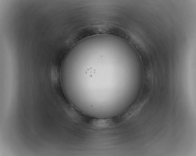X0000113360129200909151243