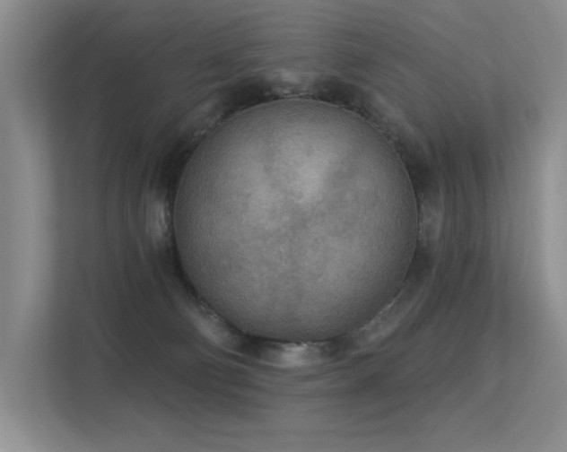X0000113360130200909151243