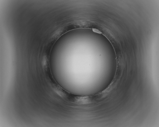 X0000113360132200909151243
