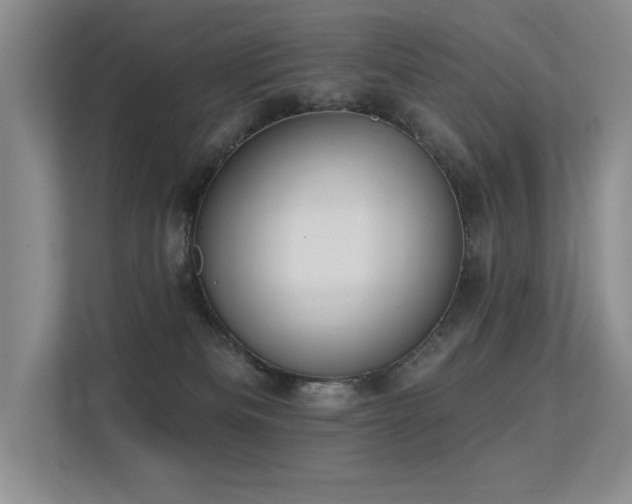 X0000113360133200909151243