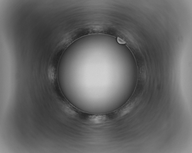 X0000113360135200909151243