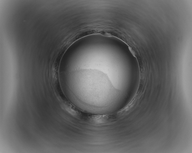 X0000113360136200909151243