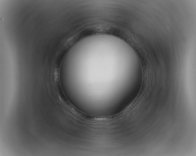 X0000113360137200909151243