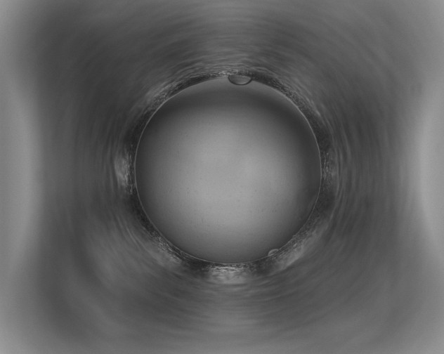 X0000113360139200909151243
