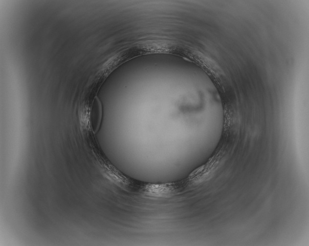 X0000113360141200909151243
