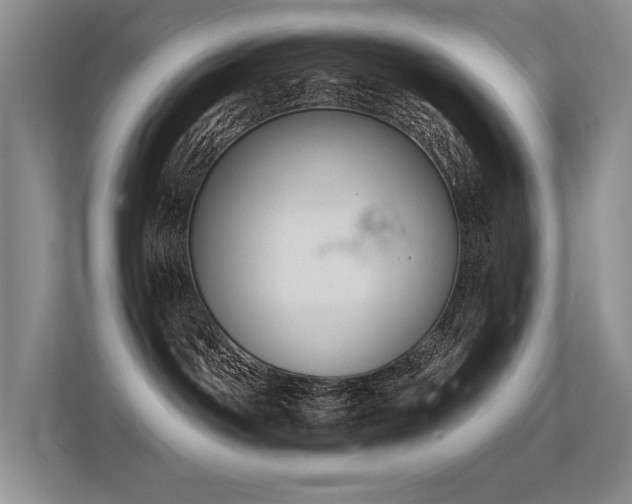 X0000113360142200909151243