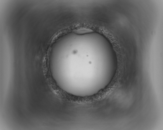 X0000113360144200909151243