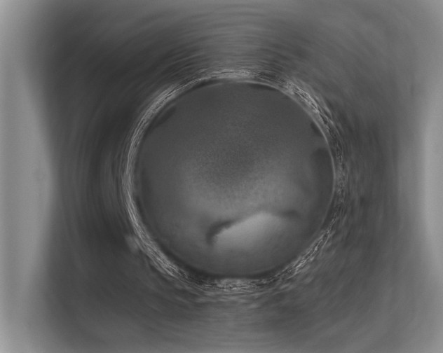 X0000113360145200909151242