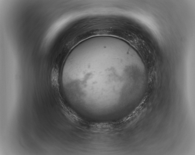 X0000113360146200909151242