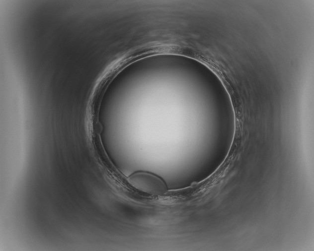X0000113360149200909151242