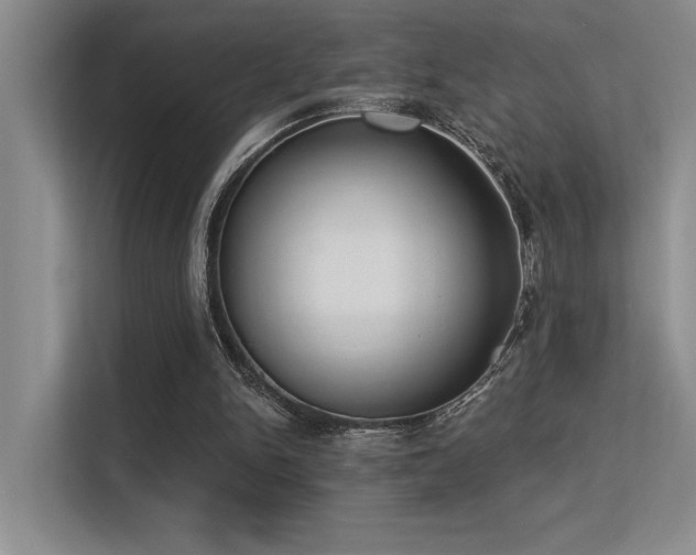 X0000113360150200909151242