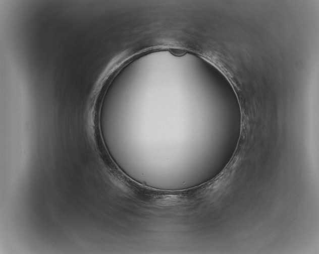X0000113360151200909151242