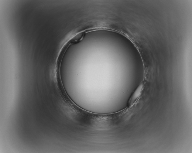 X0000113360152200909151242