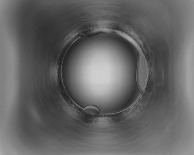 X0000113360154200909151242