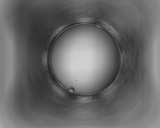 X0000113360155200909151242