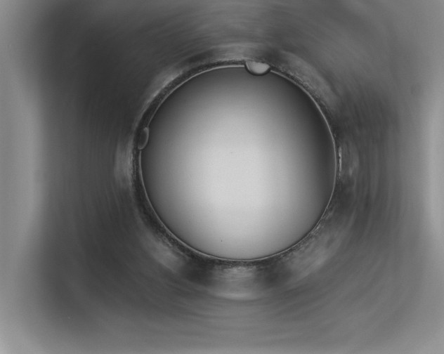 X0000113360156200909151242