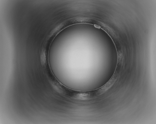 X0000113360158200909151242