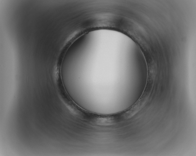X0000113360160200909151242