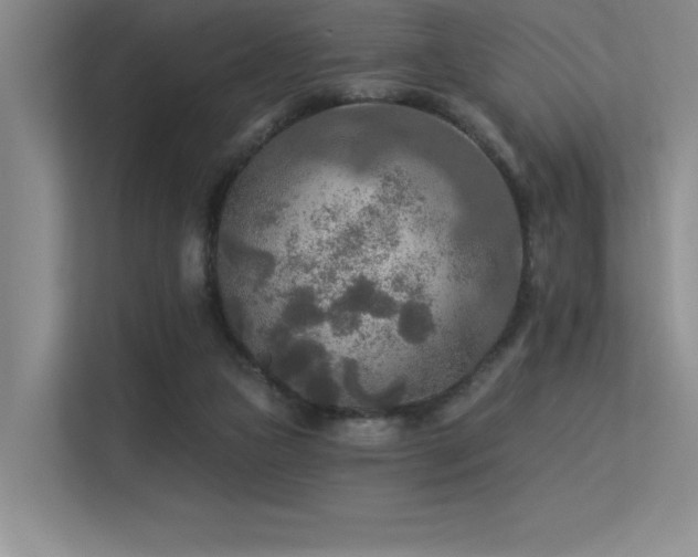 X0000113360161200909151242