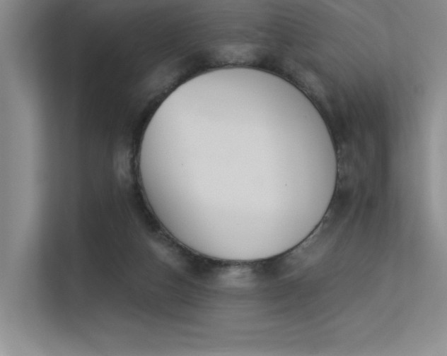 X0000113360162200909151242