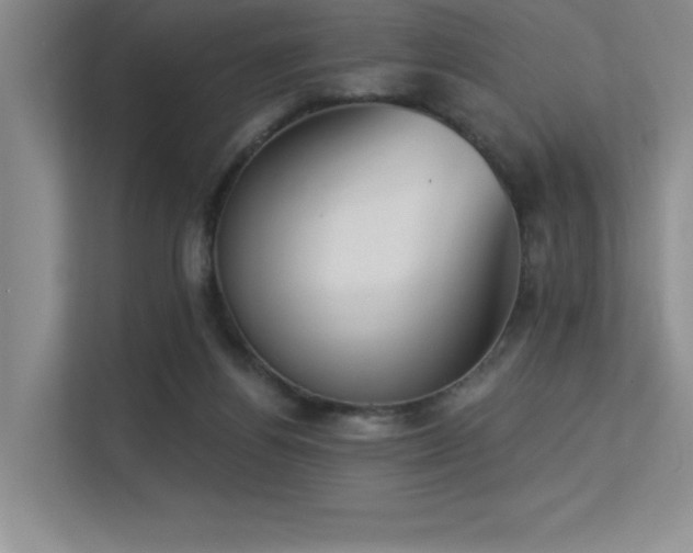 X0000113360164200909151242