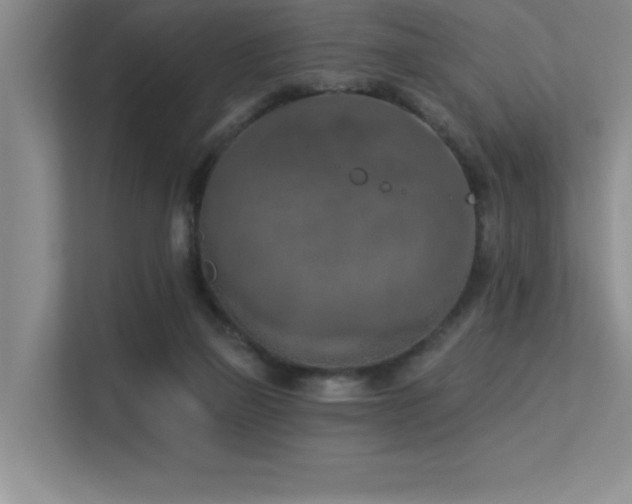 X0000113360165200909151242