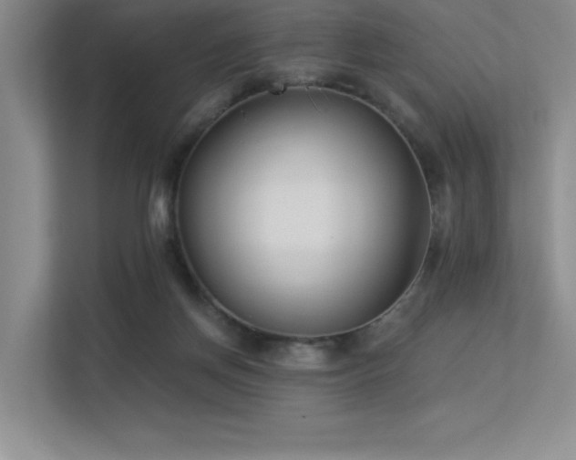 X0000113360166200909151242