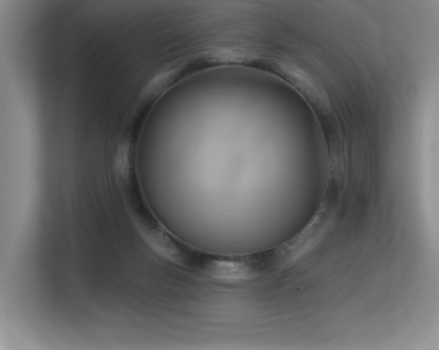X0000113360167200909151242